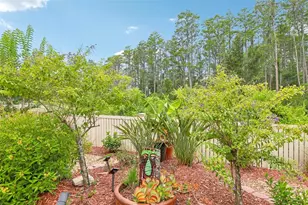 20932 Amanda Oak Ct, Land O Lakes, FL 34638 - Photo 41