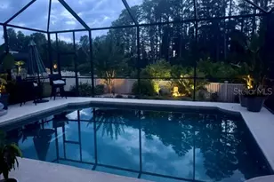 20932 Amanda Oak Ct, Land O Lakes, FL 34638 - Photo 43