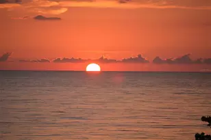 1241 Gulf of Mexico Dr, Longboat Key, FL 34228 - Photo 91