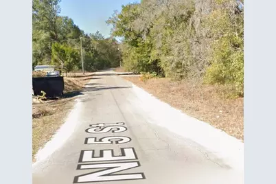 Ne 154 Terrace, Williston, FL 32696 - Photo 3