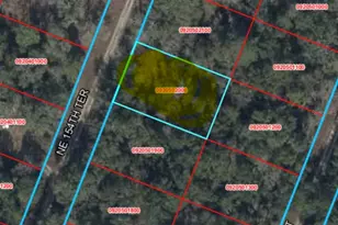 NE 154 Terrace, Williston, FL 32696 - Photo 1