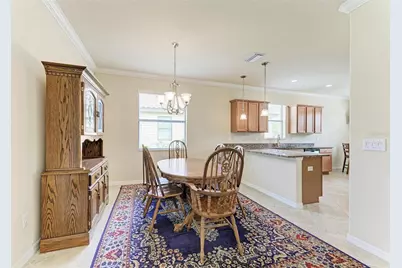 165 Wandering Wetlands Circle, Bradenton, FL 34212 - Photo 19