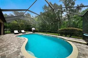 17463 New Cross Cir, Lithia, FL 33547 - Photo 21