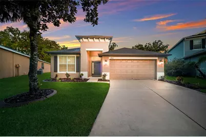 17463 New Cross Circle, Lithia, FL 33547 - Photo 1