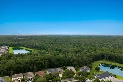 17463 New Cross Circle, Lithia, FL 33547 - Photo 49