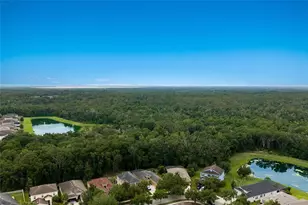 17463 New Cross Cir, Lithia, FL 33547 - Photo 49