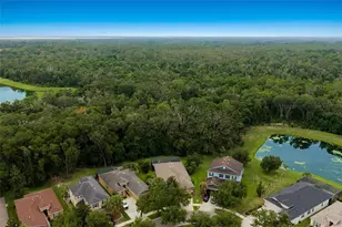 17463 New Cross Cir, Lithia, FL 33547 - Photo 47