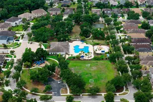 17463 New Cross Cir, Lithia, FL 33547 - Photo 51