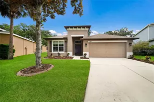 17463 New Cross Cir, Lithia, FL 33547 - Photo 3