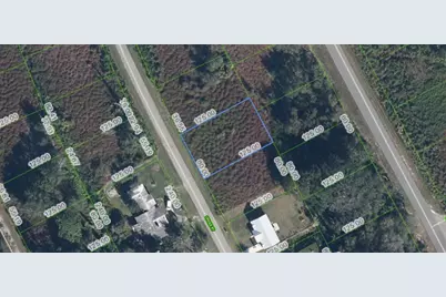1025 Oriole Street, Lake Placid, FL 33852 - Photo 1