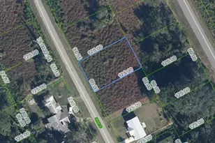 1025 Oriole St, Lake Placid, FL 33852 - Photo 1
