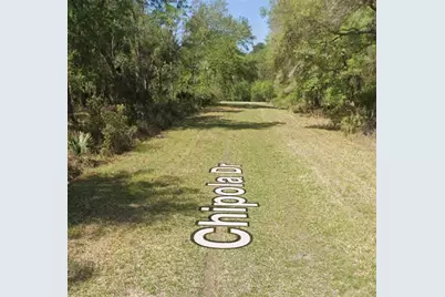 106 Chipola Drive, Georgetown, FL 32139 - Photo 3