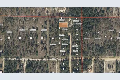 Royal Way, Interlachen, FL 32148 - Photo 3