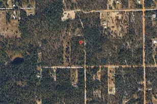 Royal Way, Interlachen, FL 32148 - Photo 1