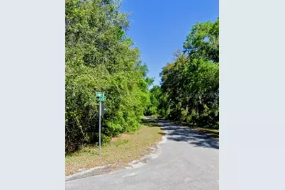 Sequoia Drive #Lot 5, Ocklawaha, FL 32179 - Photo 1