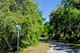 Sequoia Dr, Ocklawaha, FL 32179 - Photo 1