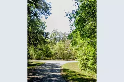 Sequoia Drive #Lot 5, Ocklawaha, FL 32179 - Photo 3