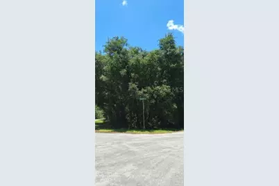 Sequoia Drive #Lot 5, Ocklawaha, FL 32179 - Photo 5
