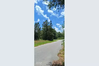 Lot 15 Ficher Lane, Ocklawaha, FL 32179 - Photo 3