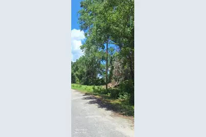 Lot 15 Ficher Lane, Ocklawaha, FL 32179 - Photo 5
