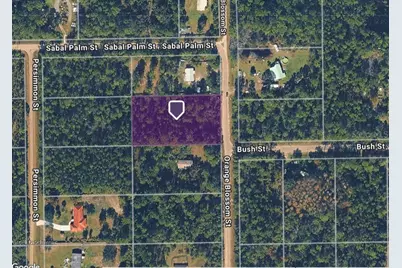 2834 Orange Blossom Street, Bunnell, FL 32110 - Photo 5