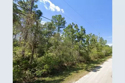 2834 Orange Blossom Street, Bunnell, FL 32110 - Photo 3
