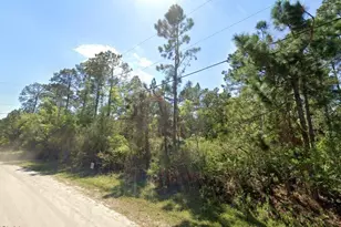 2834 Orange Blossom St, Bunnell, FL 32110 - Photo 1
