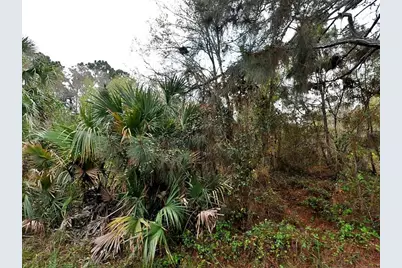 Henning Street, North Port, FL 34288 - Photo 1