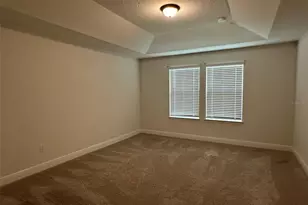 11634 Cambium Crown Dr, Riverview, FL 33569 - Photo 7