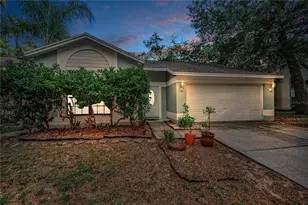 4113 Quail Briar Dr, Valrico, FL 33596 - Photo 1