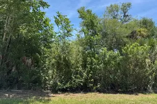 14427 Molla Ave, Port Charlotte, FL 33953 - Photo 1