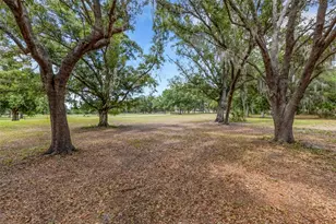 14960 Gibson Rd, Myakka City, FL 34251 - Photo 53