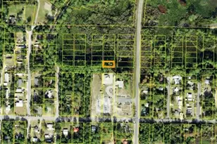 1301 Copesetic St, Carrabelle, FL 32322 - Photo 1