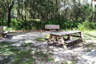 5206 Bouchard Cir, Sarasota, FL 34238 - Photo 65