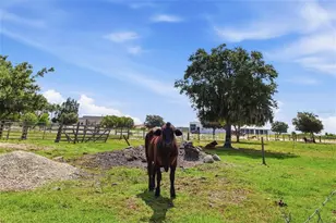 13105 MJ Rd, Myakka City, FL 34251 - Photo 29