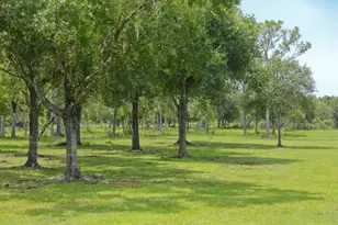 34452 Singletary Rd, Myakka City, FL 34251 - Photo 23