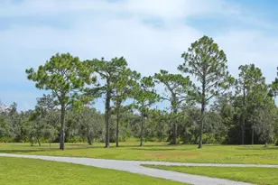 34452 Singletary Rd, Myakka City, FL 34251 - Photo 21