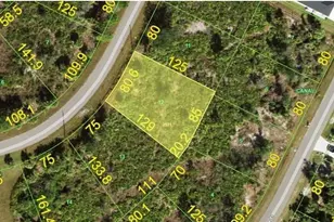250 Saluda Terrace, Port Charlotte, FL 33953 - Photo 1