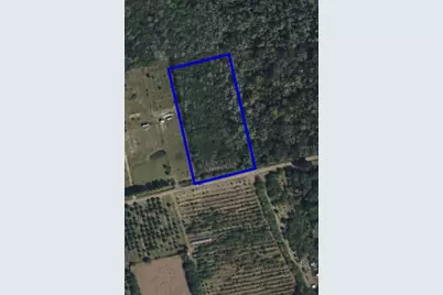 1909 Unknown, Mims, FL 32754 - Photo 3