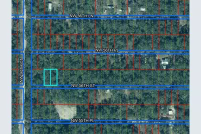 Lots 4 & 5 NW 56th Street, Chiefland, FL 32626 - Photo 3