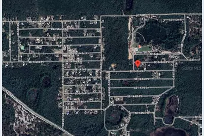 21175 SE 142nd Lane, Umatilla, FL 32784 - Photo 3