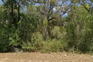 21175 SE 142nd Ln, Umatilla, FL 32784 - Photo 1