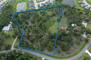 10900 Old Tampa Rd, Parrish, FL 34219 - Photo 1
