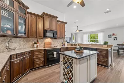 10524 Mistflower Lane, Tampa, FL 33647 - Photo 17
