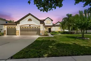 10524 Mistflower Ln, Tampa, FL 33647 - Photo 1