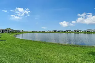 14412 Skipping Stone Loop, Parrish, FL 34219 - Photo 41