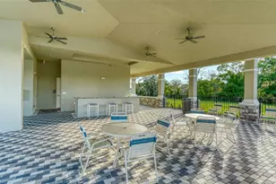 10016 Big Marsh Ter, Parrish, FL 34219 - Photo 67