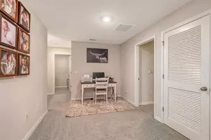 10016 Big Marsh Ter, Parrish, FL 34219 - Photo 35