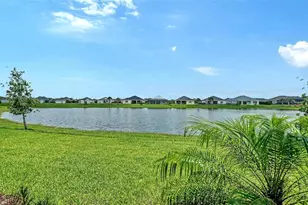 14406 Skipping Stone Loop, Parrish, FL 34219 - Photo 41
