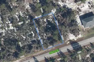 117 Bonnie Rd NW, Lake Placid, FL 33852 - Photo 1
